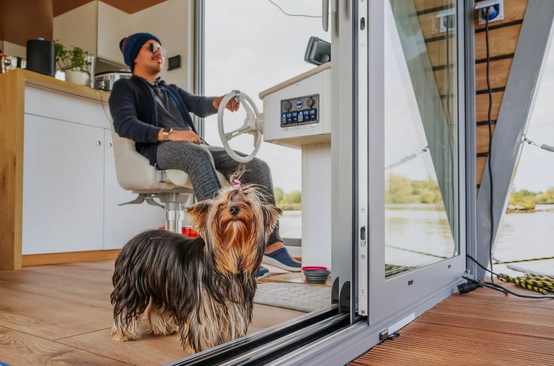 Hausboot mit Hund - Sind Haustiere auf Hausbooten erlaubt?
